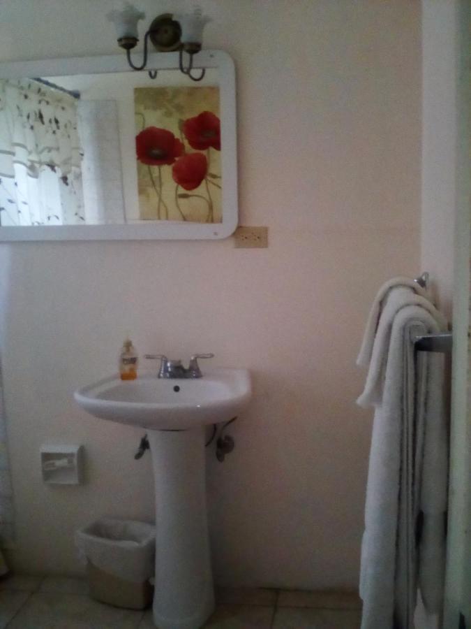 Castlevue B&B Montego Bay Luaran gambar