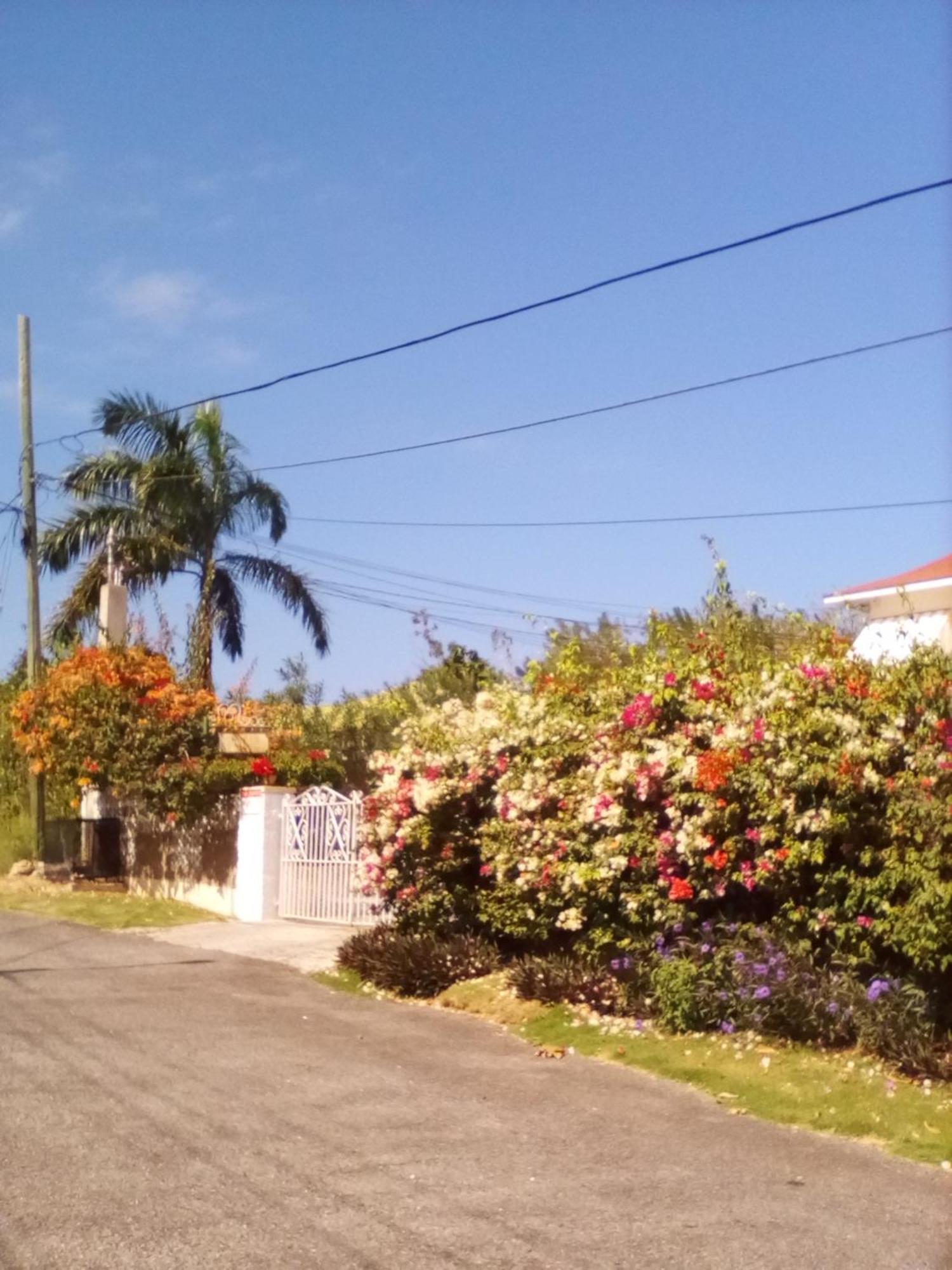 Castlevue B&B Montego Bay Luaran gambar